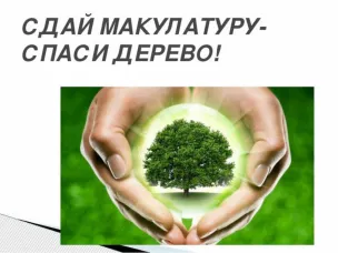 Сдай макулатуру-спаси дерево!